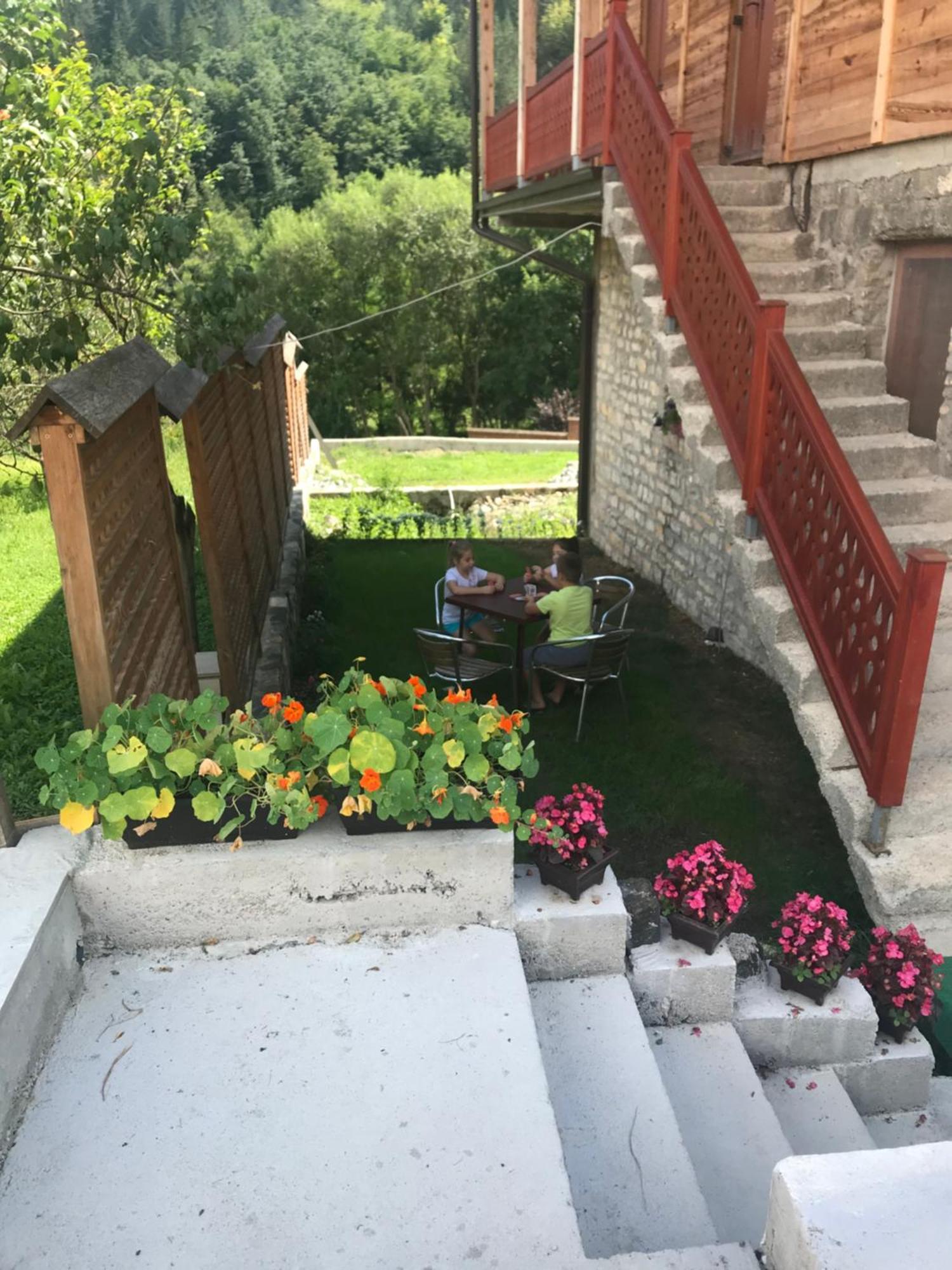 Stara Kuca Apartamento Mokra Gora Exterior foto